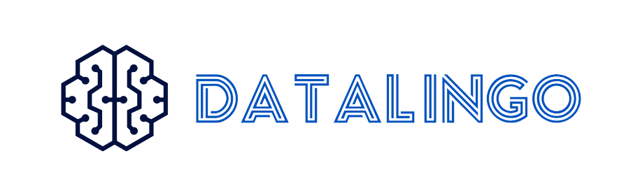 datalingo